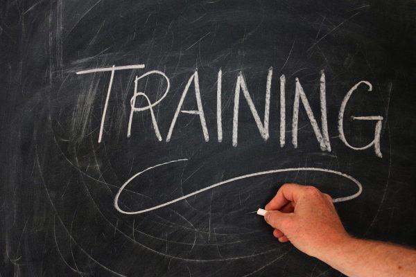 Sammelskippertraining
